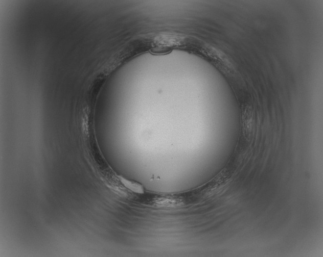 X0000073400315200608181036