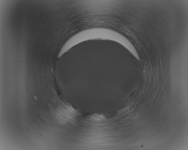 X0000073400322200608181036