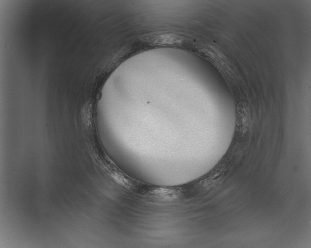 X0000073400326200608181036
