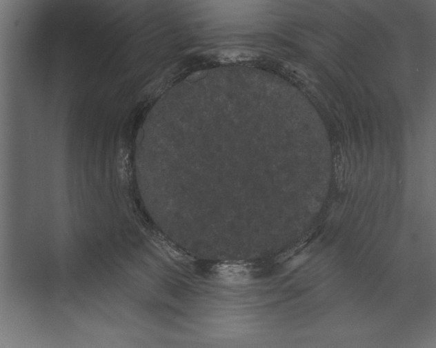 X0000073400327200608181036