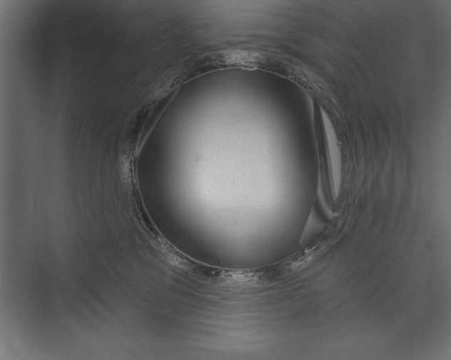 X0000073400329200608181036