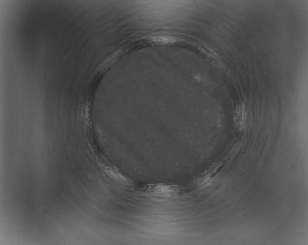 X0000073400330200608181036