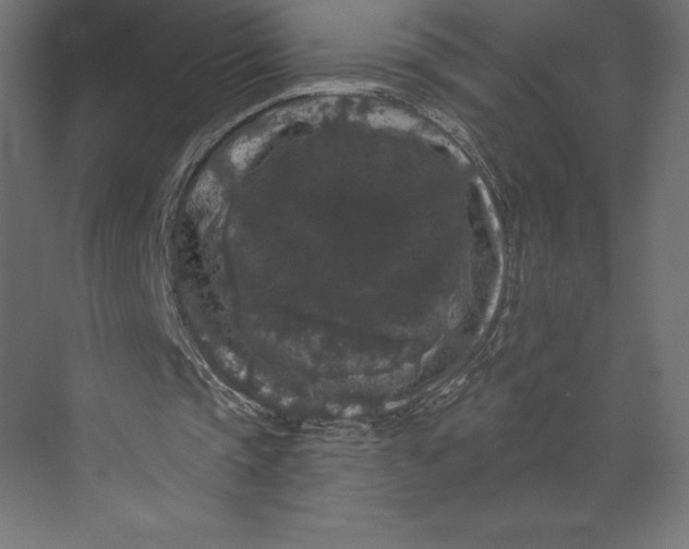X0000073400337200608181035