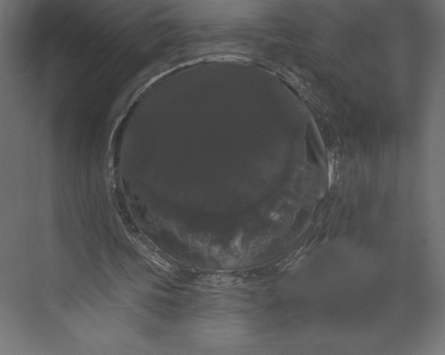 X0000073400339200608181035