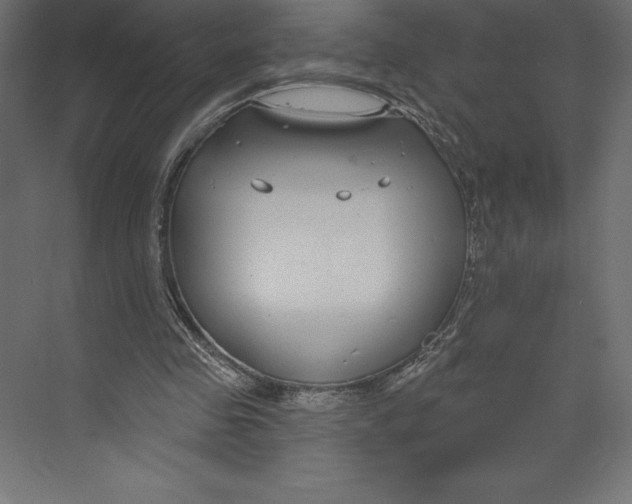 X0000073400341200608181035