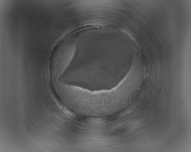 X0000073400349200608181035