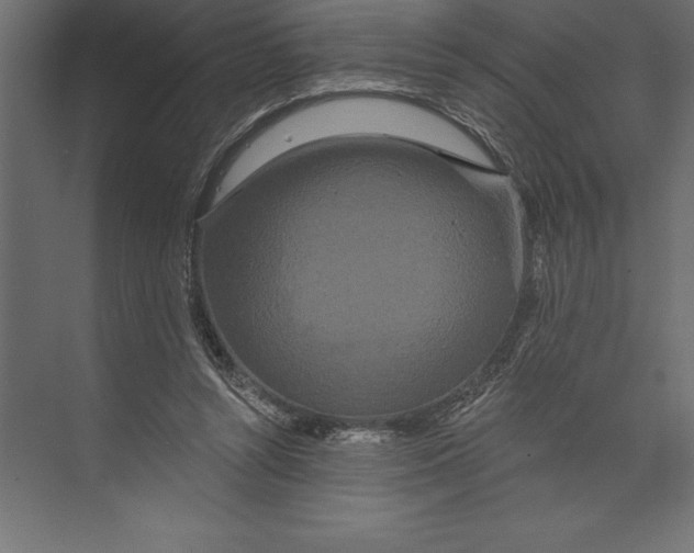 X0000073400352200608181035