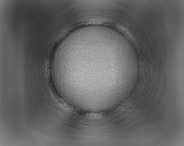 X0000073400354200608181035