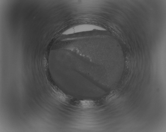 X0000073400371200608181035