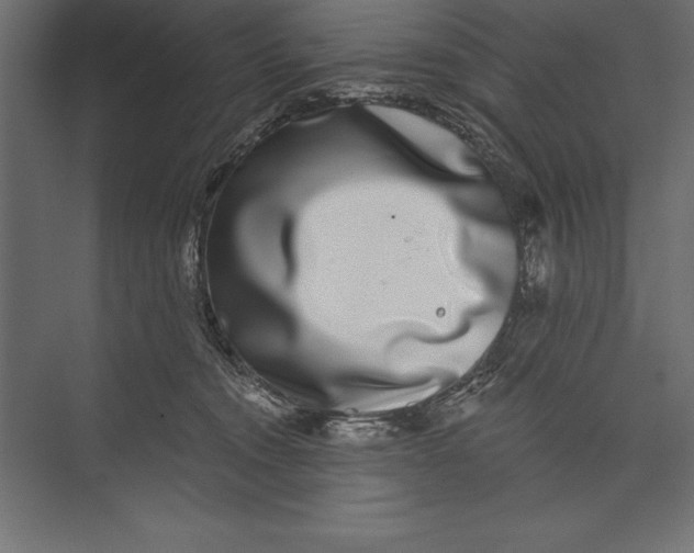 X0000073400372200608181035