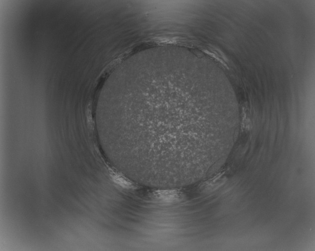 X0000073400377200608181035