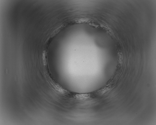 X0000073400378200608181036