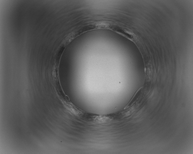 X0000073400379200608181036