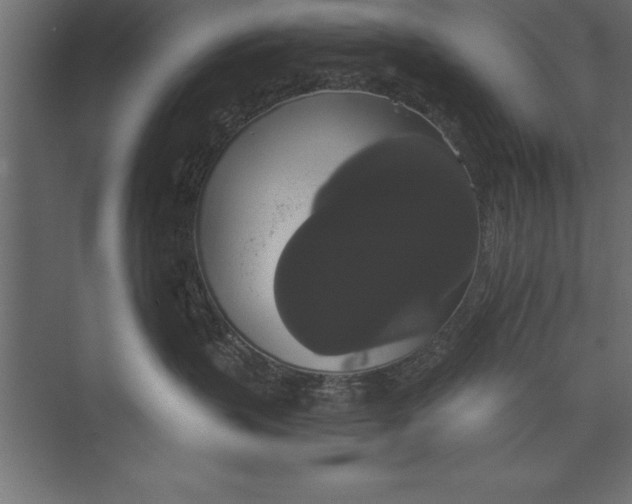 X0000073400383200608181036