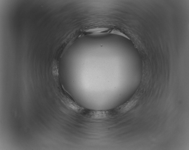X0000073400384200608181036