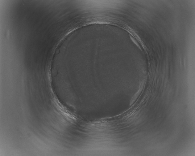 X0000073400386200608181035