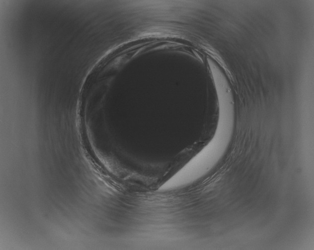 X0000073400387200608181035
