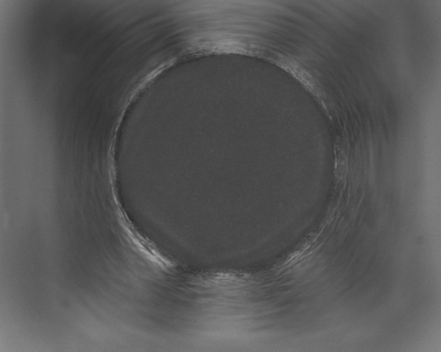 X0000073400390200608181035