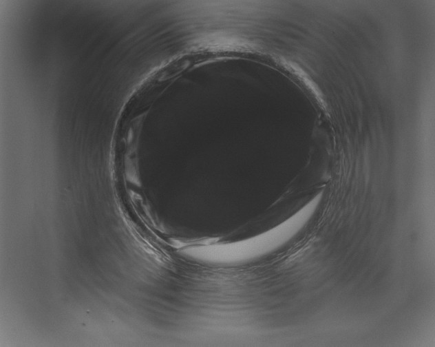 X0000073400391200608181035
