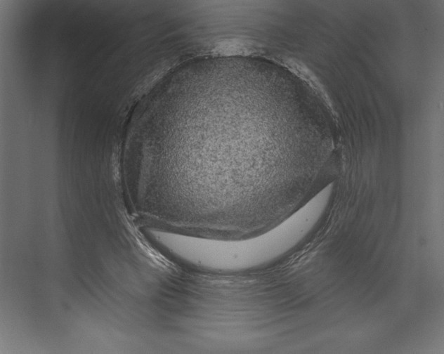 X0000073400393200608181035