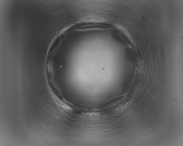 X0000073400395200608181035