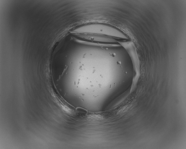 X0000073400397200608181035