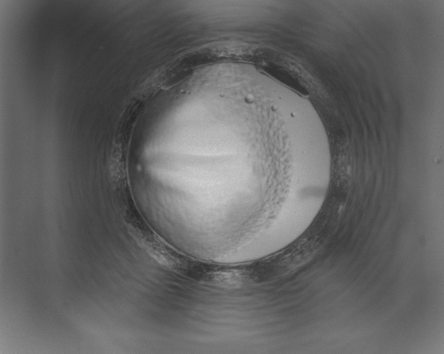 X0000073400411200608181034