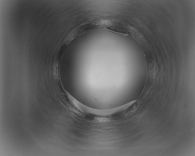 X0000073400425200608181034