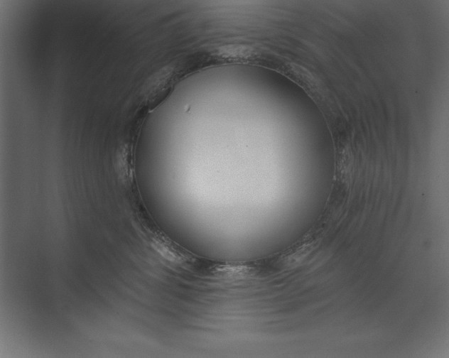 X0000073400428200608181034