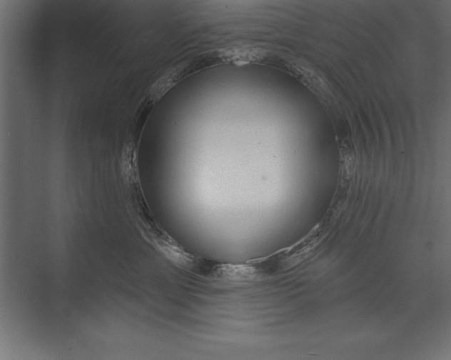 X0000073400429200608181034