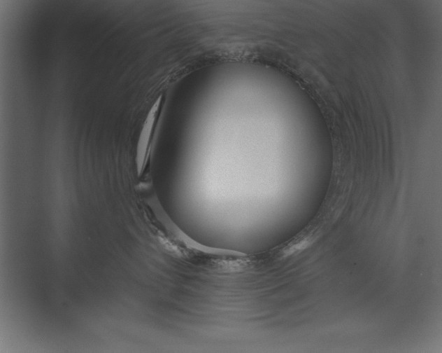 X0000073400432200608181034
