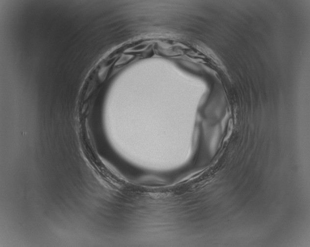 X0000073400436200608181033