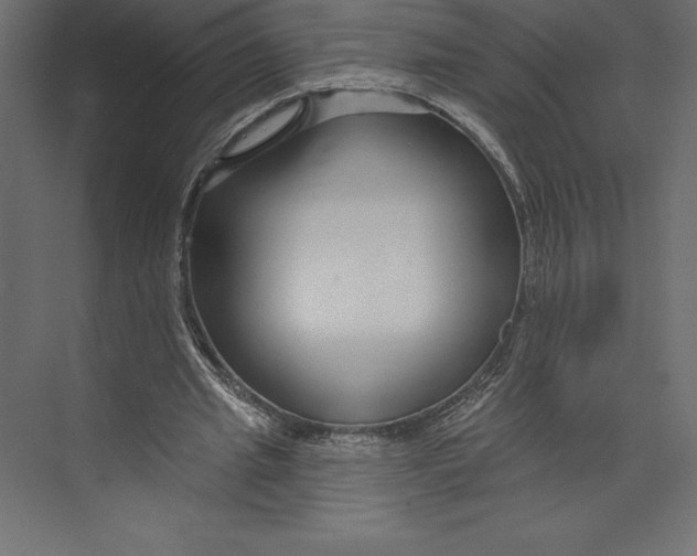 X0000073400437200608181033