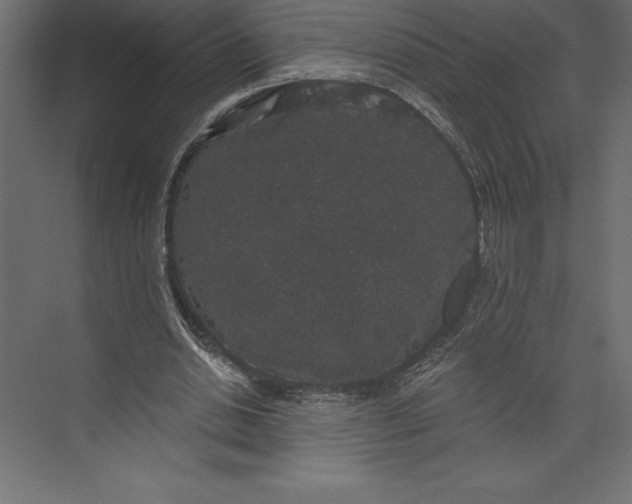 X0000073400438200608181033
