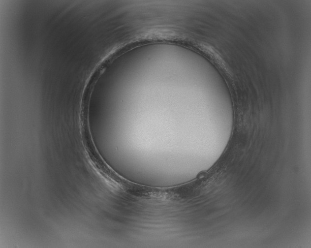 X0000073400439200608181033