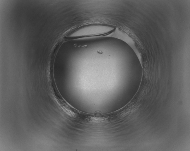 X0000073400442200608181033