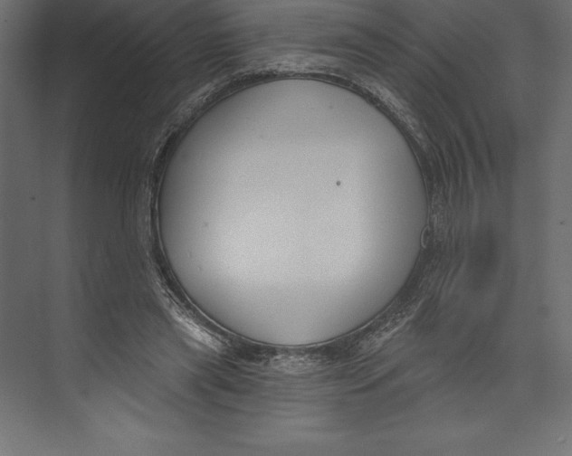 X0000073400445200608181033