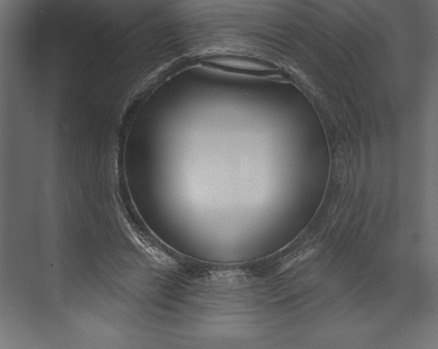 X0000073400446200608181033