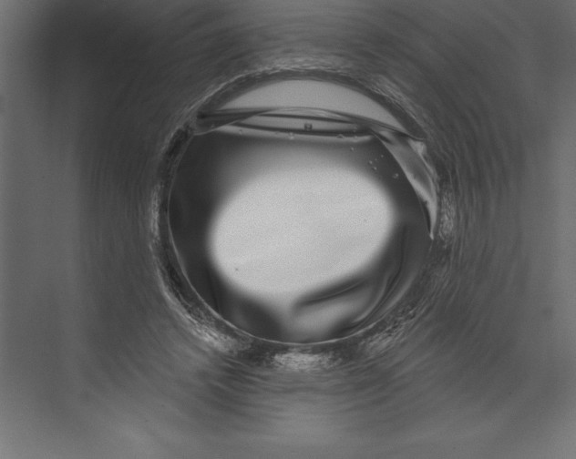 X0000073400448200608181033