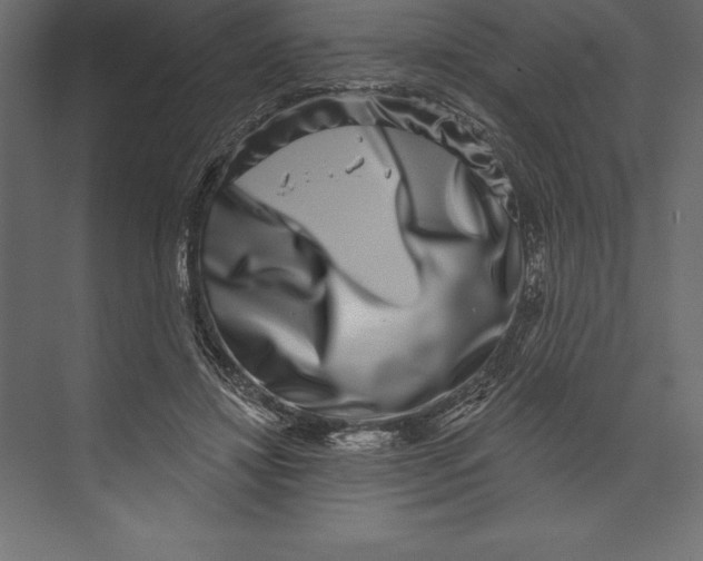 X0000073400452200608181034