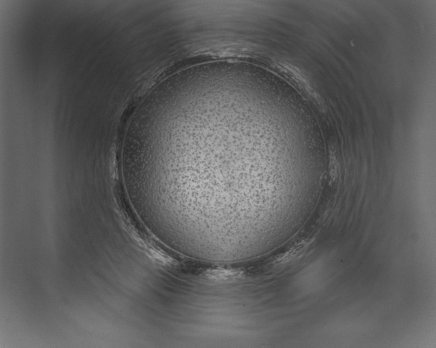 X0000073400453200608181034