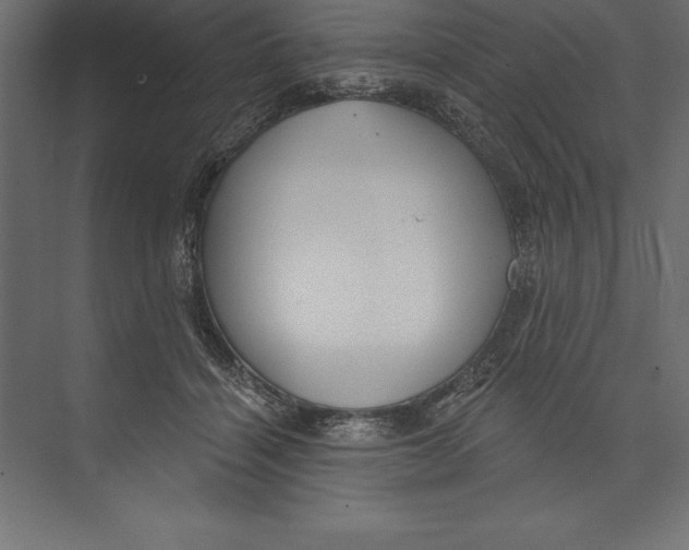 X0000073400460200608181034