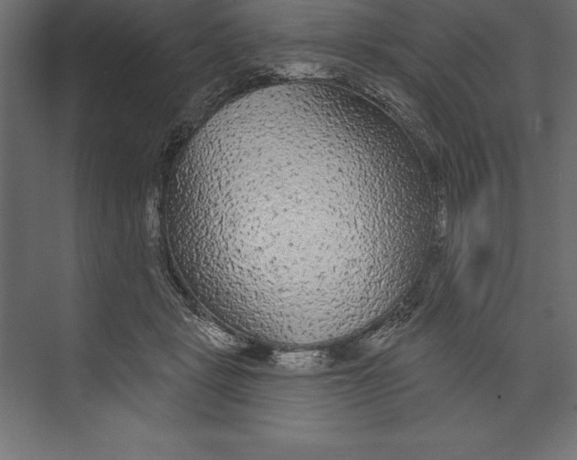 X0000073400461200608181034