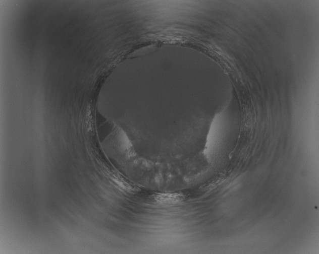 X0000073400465200608181034