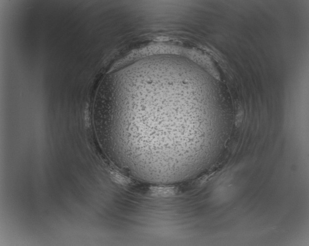 X0000073400469200608181034