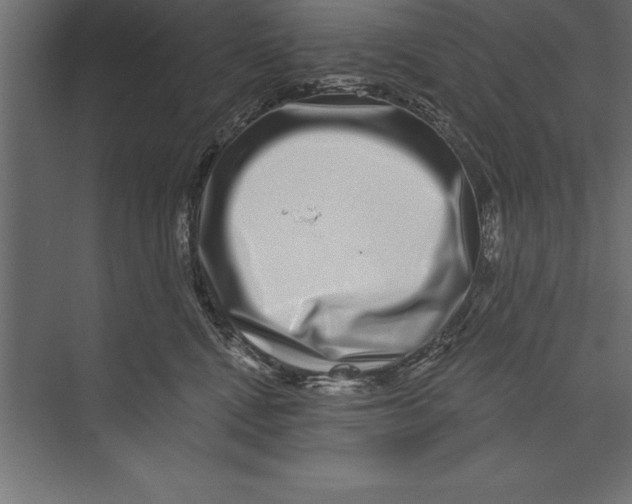 X0000073400472200608181034