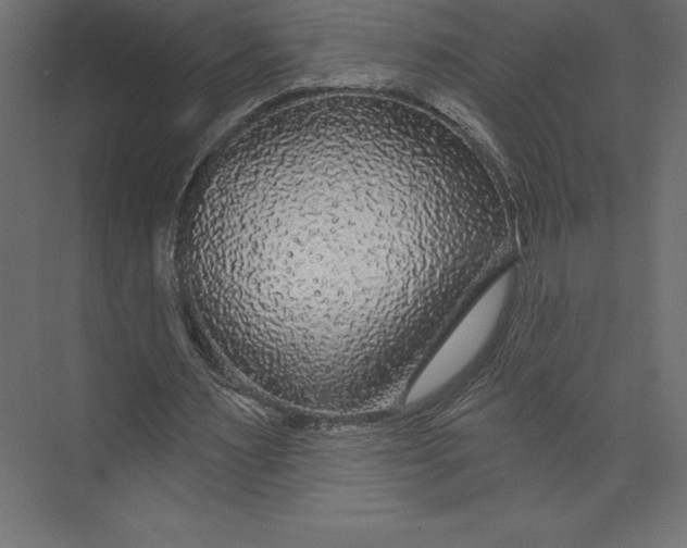 X0000073400483200608181033