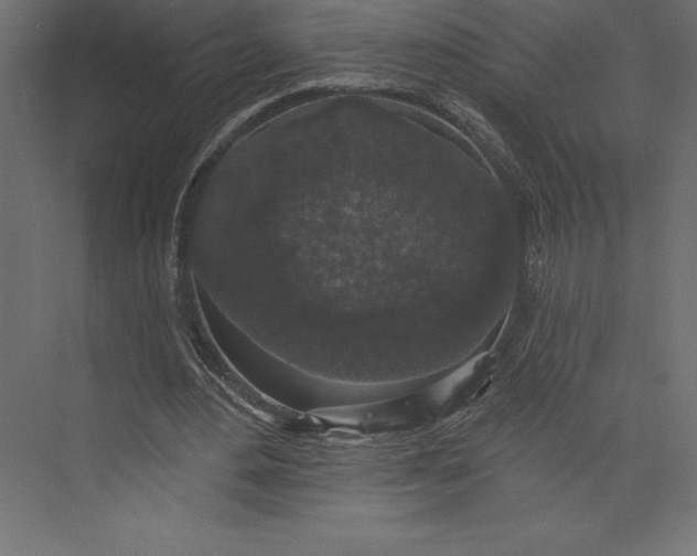 X0000073400484200608181033