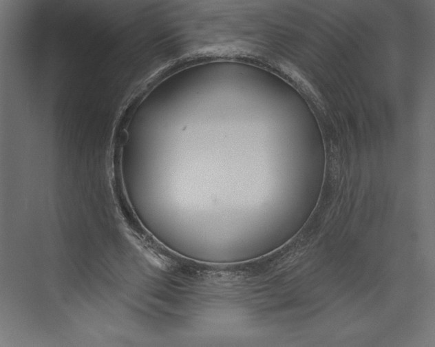 X0000073400486200608181033