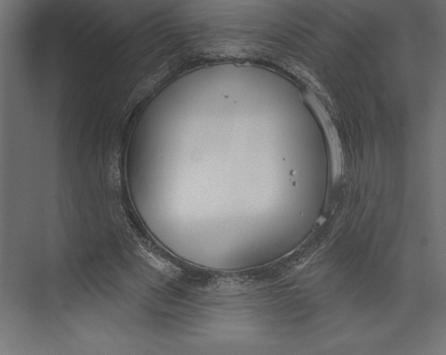 X0000073400489200608181033